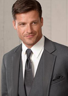 Gray tuxedo
